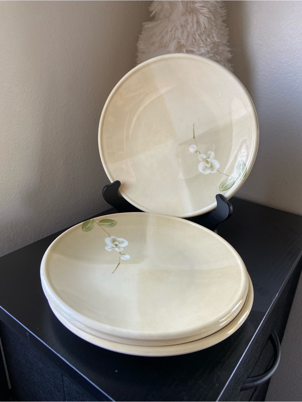 4 Crate & Barrel Orchid Plates 9 inch Royal Stafford Great Britain